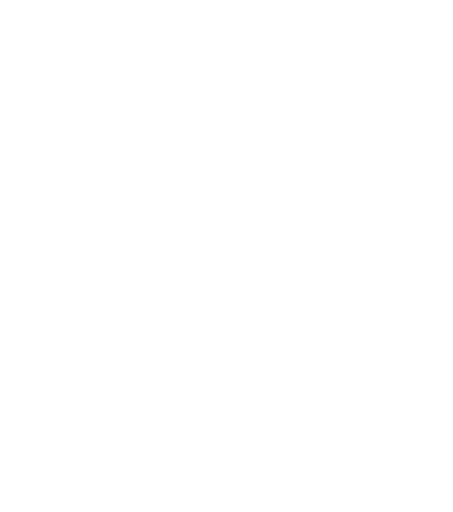 Maximo Cross training logo