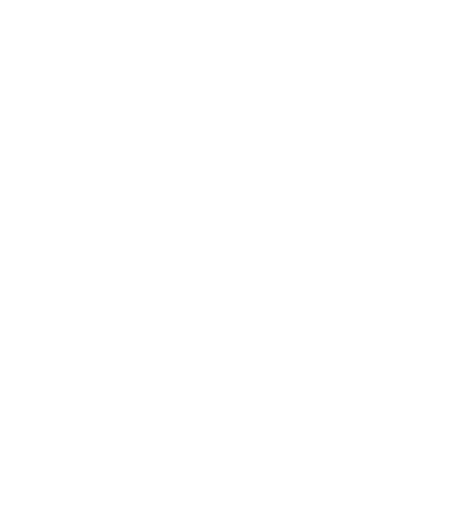 Maximo Cross training logo